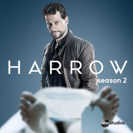 Доктор Хэрроу / Harrow [2 сезон все серии] (2019) HDTVRip