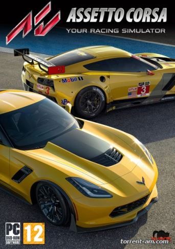 Assetto Corsa [v 1.4.1] (2013) PC | RePack от FitGirl