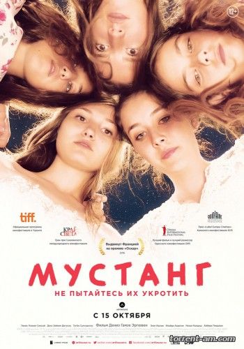 Мустанг / Mustang (2015) WEB-DLRip от Scarabey | iTunes