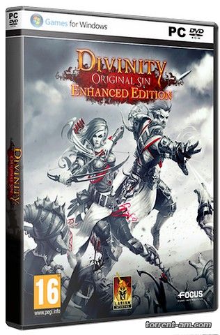 Divinity: Original Sin - Enhanced Edition [v 2.0.104.737] (2015) PC | Steam-Rip от Let'sРlay