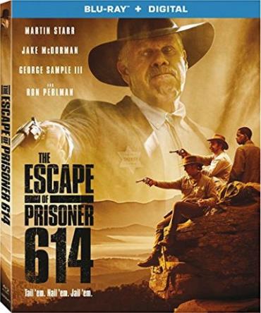 Побег заключённого 614 / The Escape of Prisoner 614 (2018) BDRemux 1080p