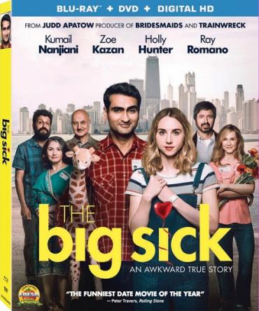 Любовь - болезнь / The Big Sick (2017) BDRip 1080p