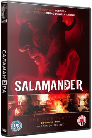 Саламандра / Salamander [1 сезон все серии] (2012) HDTVRip