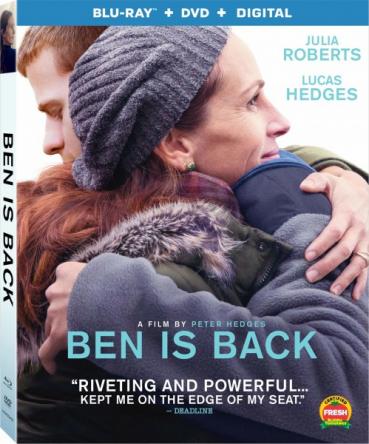 Вернуть Бена / Ben Is Back (2018) BDRip-AVC