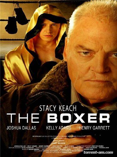 Боксер / The Boxer (2009) DVDRip | P2