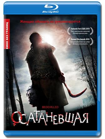 Осатаневшая / Kim Bok-nam salinsageonui jeonmal (2010) HDRip-AVC