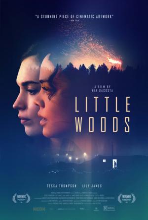 Лесок / Little Woods (2018) WEB-DLRip-AVC