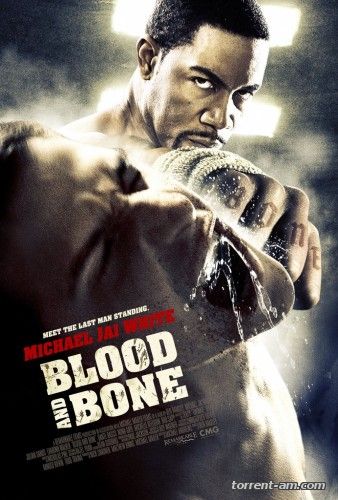 Кровь и кость / Blood and Bone (2009) DVDRip | L2