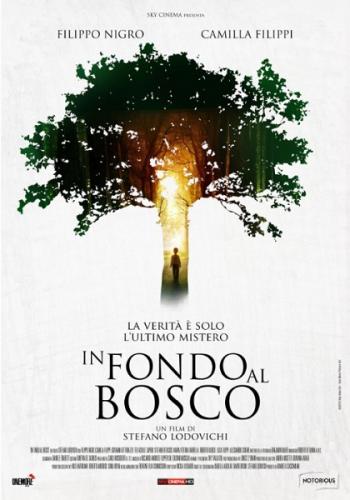 В глубине леса / In fondo al bosco (2015) HDTVRip от torrentfilm | L1