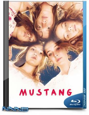 Мустанг / Mustang (2015) BDRip-AVC от NNNB | iTunes