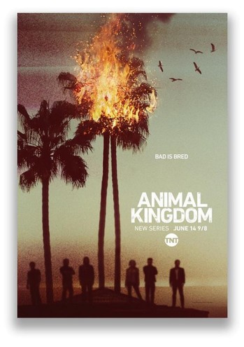 По волчьим законам / Animal Kingdom [1 сезон] (2016) WEB-DLRip | LostFilm