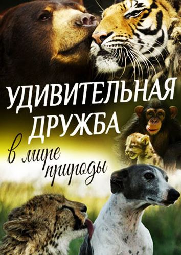 Удивительная дружба в мире природы / World's oddest animal couples [1-4 серии из 4] (2016) WEB-DL 720p