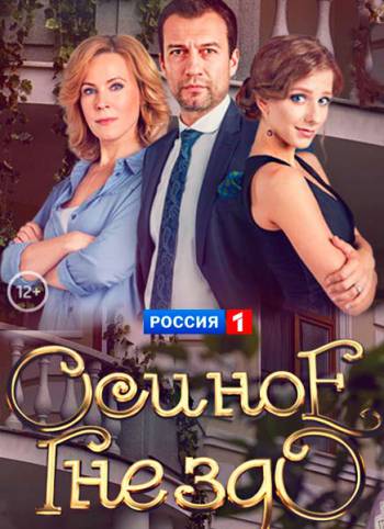 Осиное гнездо [1-4 серии из 16] (2017)