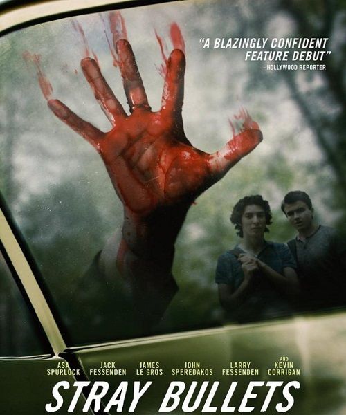 Шальные пули / Stray Bullets (2016)
