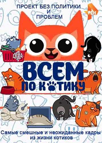 Всем по котику [1-9 выпуски] (2016-2017)