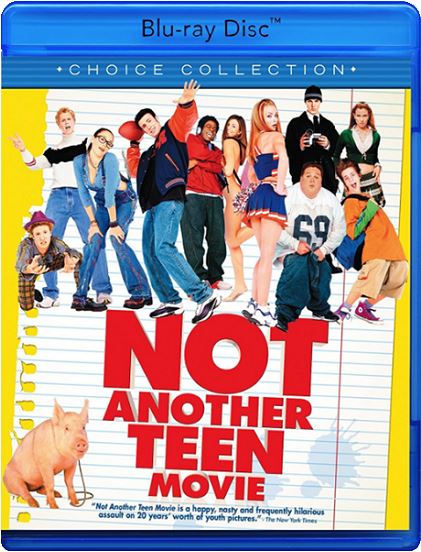 Недетское кино / Not Another Teen Movie (2001)