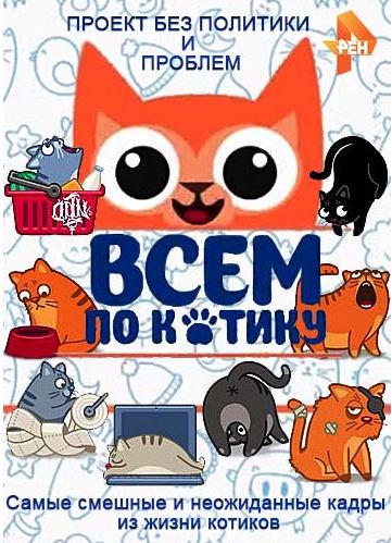 Всем по котику [1-17 выпуски] (2016-2017)