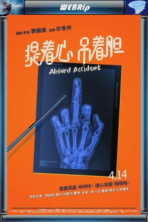 Нелепая случайность / Абсурдный несчастный случай / Ti Zhe Xin Diao Zhe Dan / Absurd Accident (WEBRip) 2017 г.